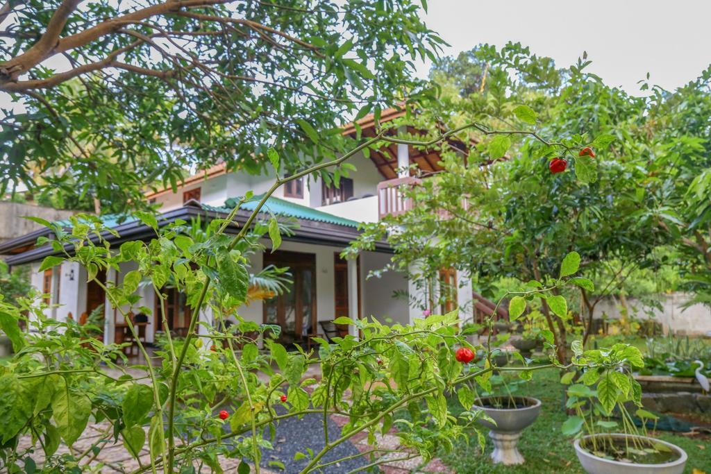 Villa Green Cottage Hikkaduwa Exterior photo